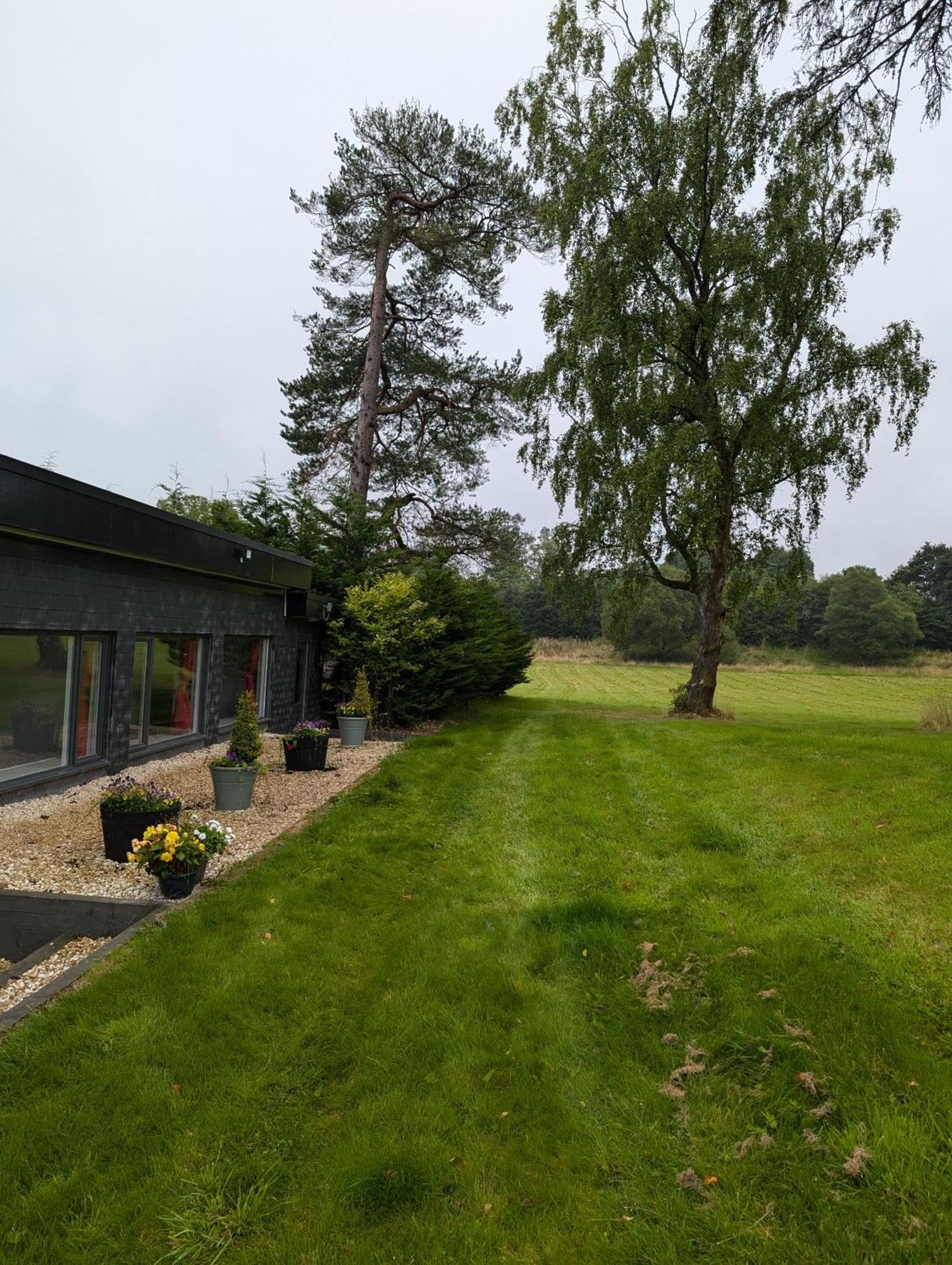 غلاسغو Glassford House المظهر الخارجي الصورة